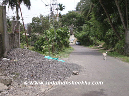 sheekha310720122