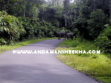 sheekha311020121
