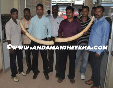 sheekha091120125