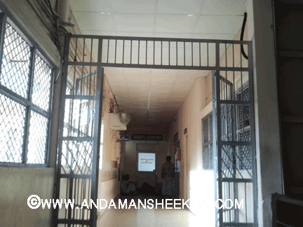 sheekha171220124
