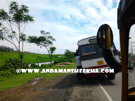 sheekha130220132.gif