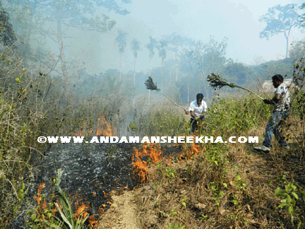 sheekha040320131