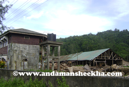 sheekha220520131