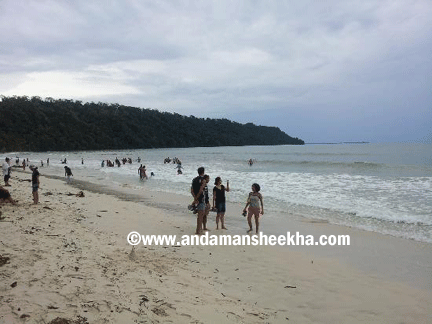 sheekha2305201314
