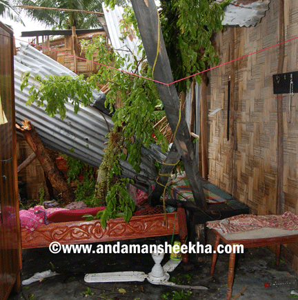 sheekha2305201315