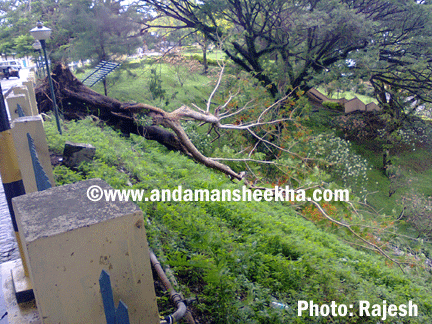 sheekha270520131