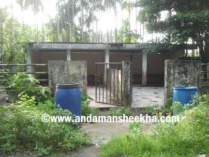 sheekha110620133