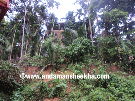 sheekha110620134