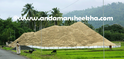 sheekha290720131