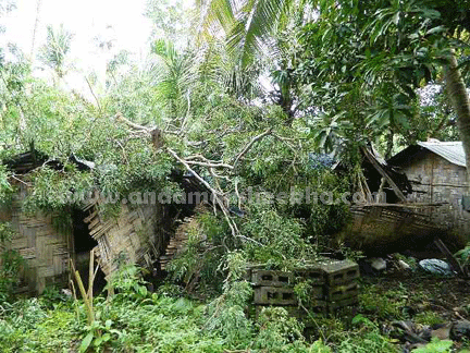 sheekha070820133