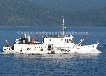 sheekha140820133