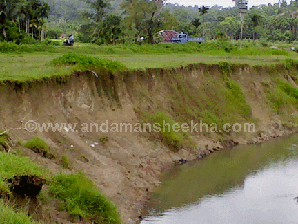 sheekha220820131