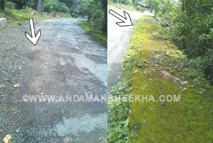 sheekha070920133