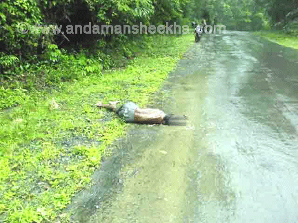 sheekha300920133