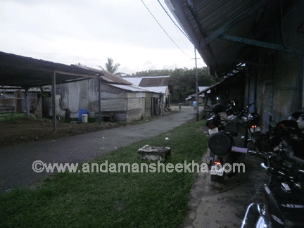 sheekha011020135