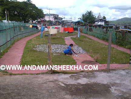 SHEEKHA081120133
