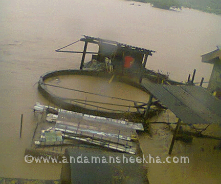 SHEEKHA021220133