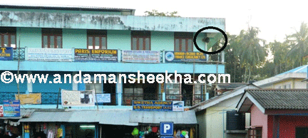 sheekha101220132