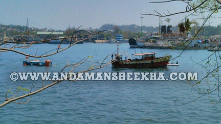 sheekha040220143