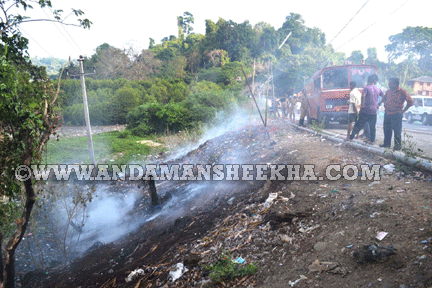 SHEEKHA240420141