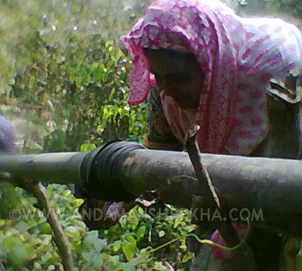 sheekha160420141