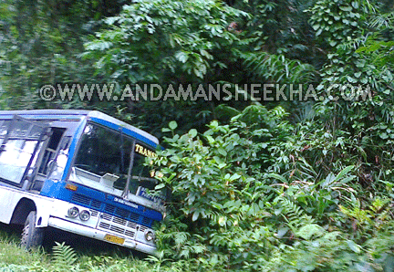 sheekha071020141