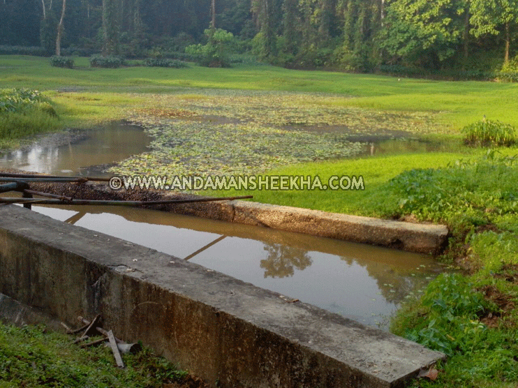 sheekha110220152