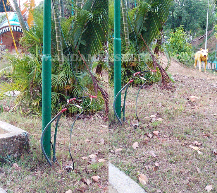 sheekha020420152