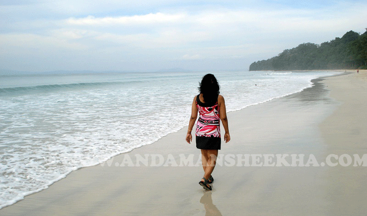 sheekha080420152