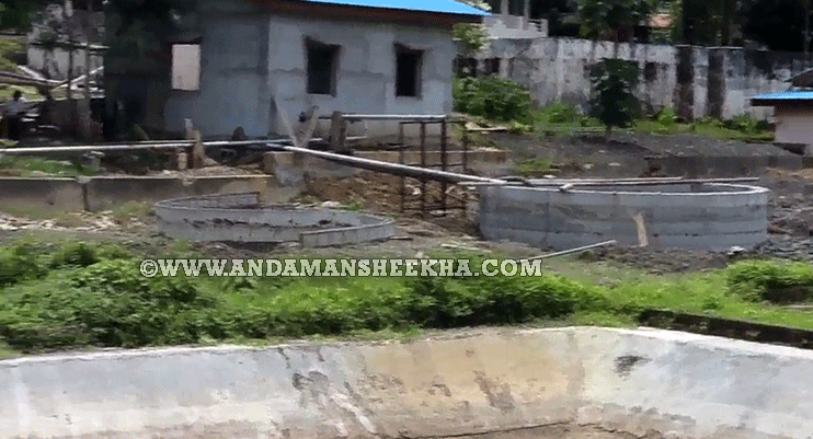 sheekha240820151