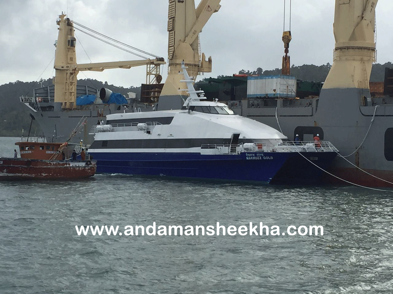 sheekha25