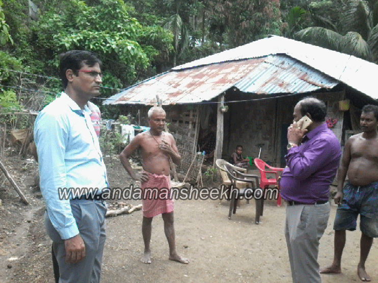 sheekha110620166gif