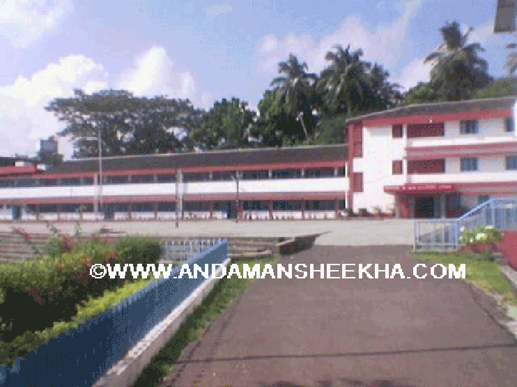 carmalsheekha080320132