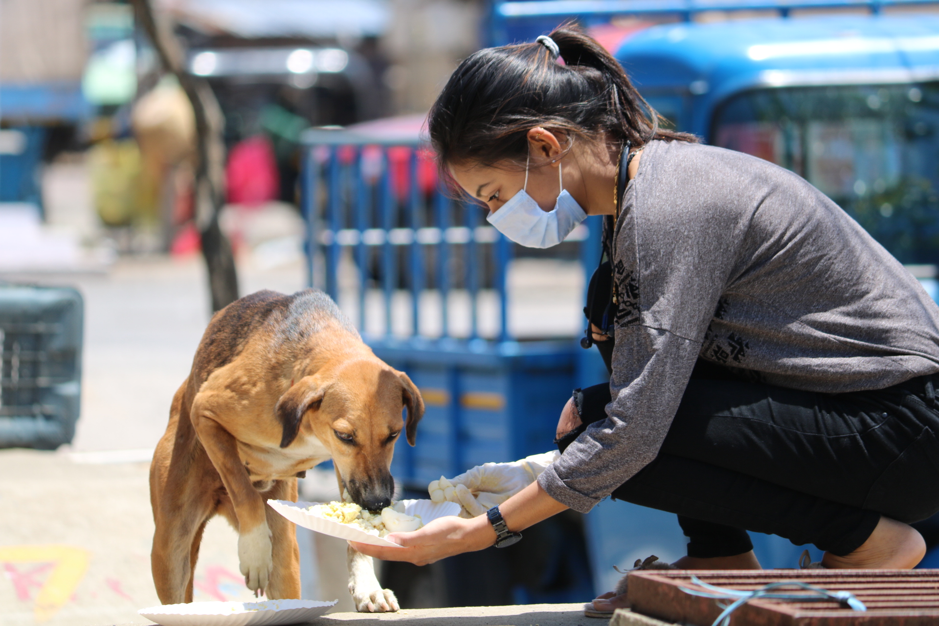 20200426121448_IMG_6408