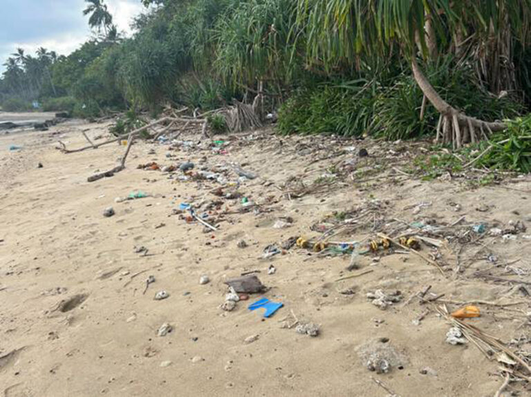 BEACH CLEAN