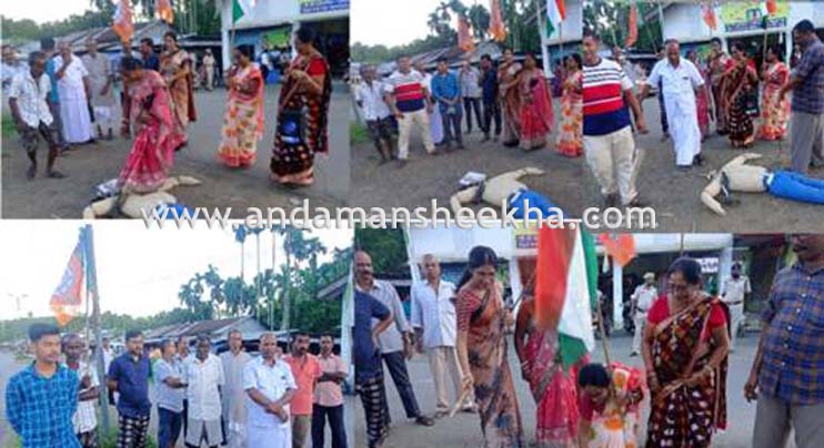 BJP stages protest