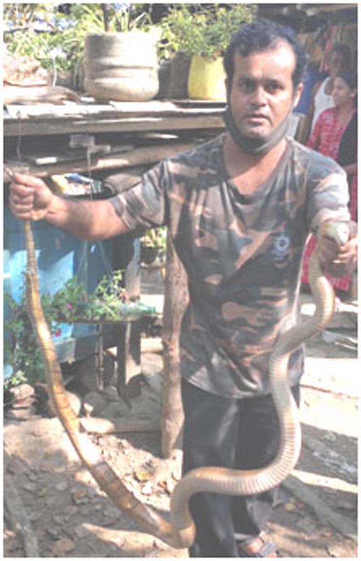 COBRA
