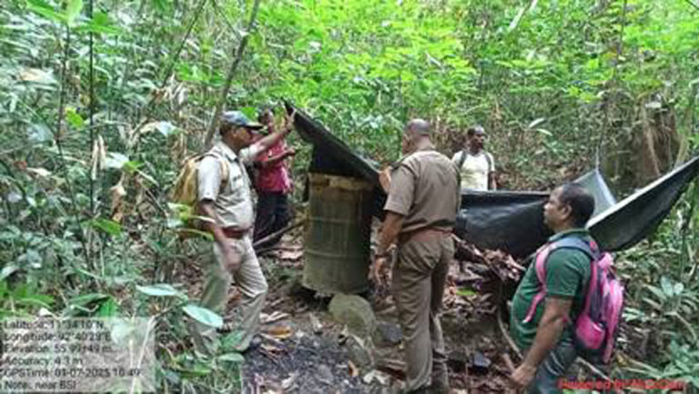 FOREST DEPT CRACK