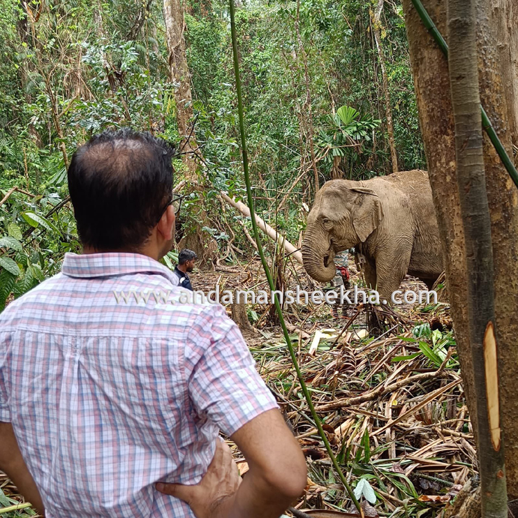 FOREST DEPT
