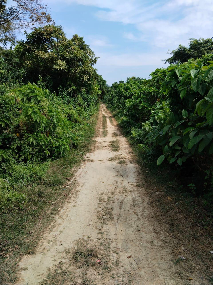 Pramukh Urges Immediate Construction of Gandhinagar Rural Road to end Residents’ Hardships