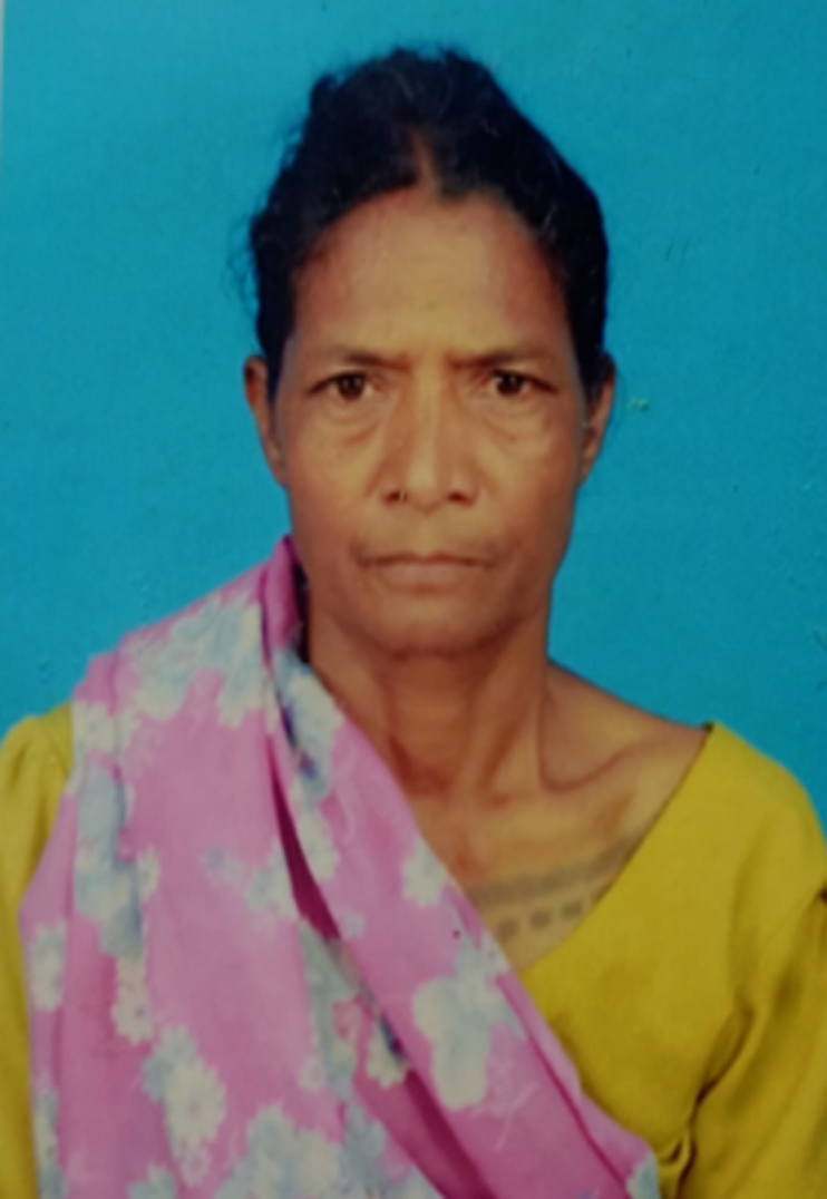MISSING LADY