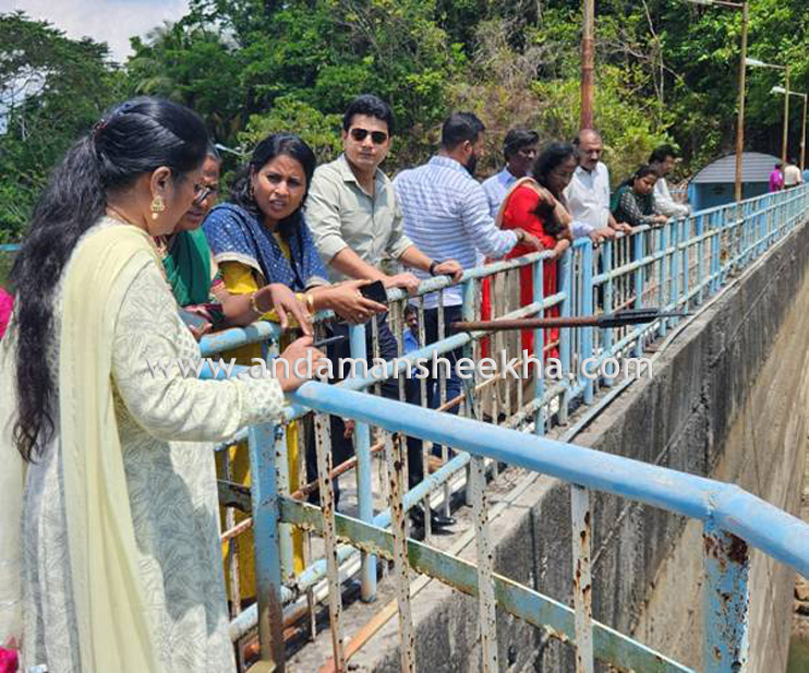 PBMC DAM