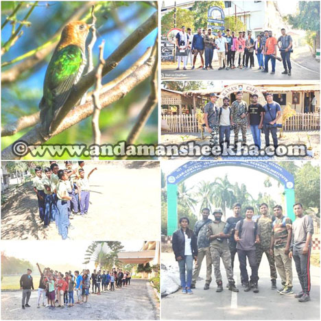 avians club