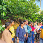 A Walk through the Coffee Plantations of Coorg