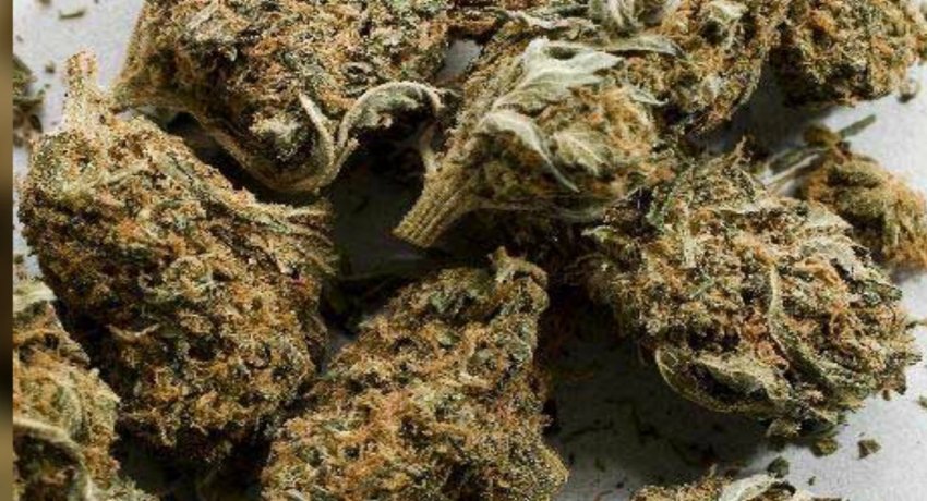 ganja-edited-2_850x460_acf_cropped