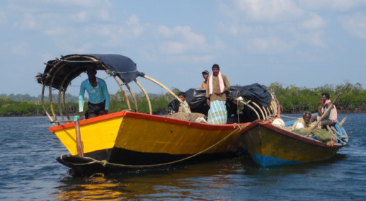 havelock fishermen rj