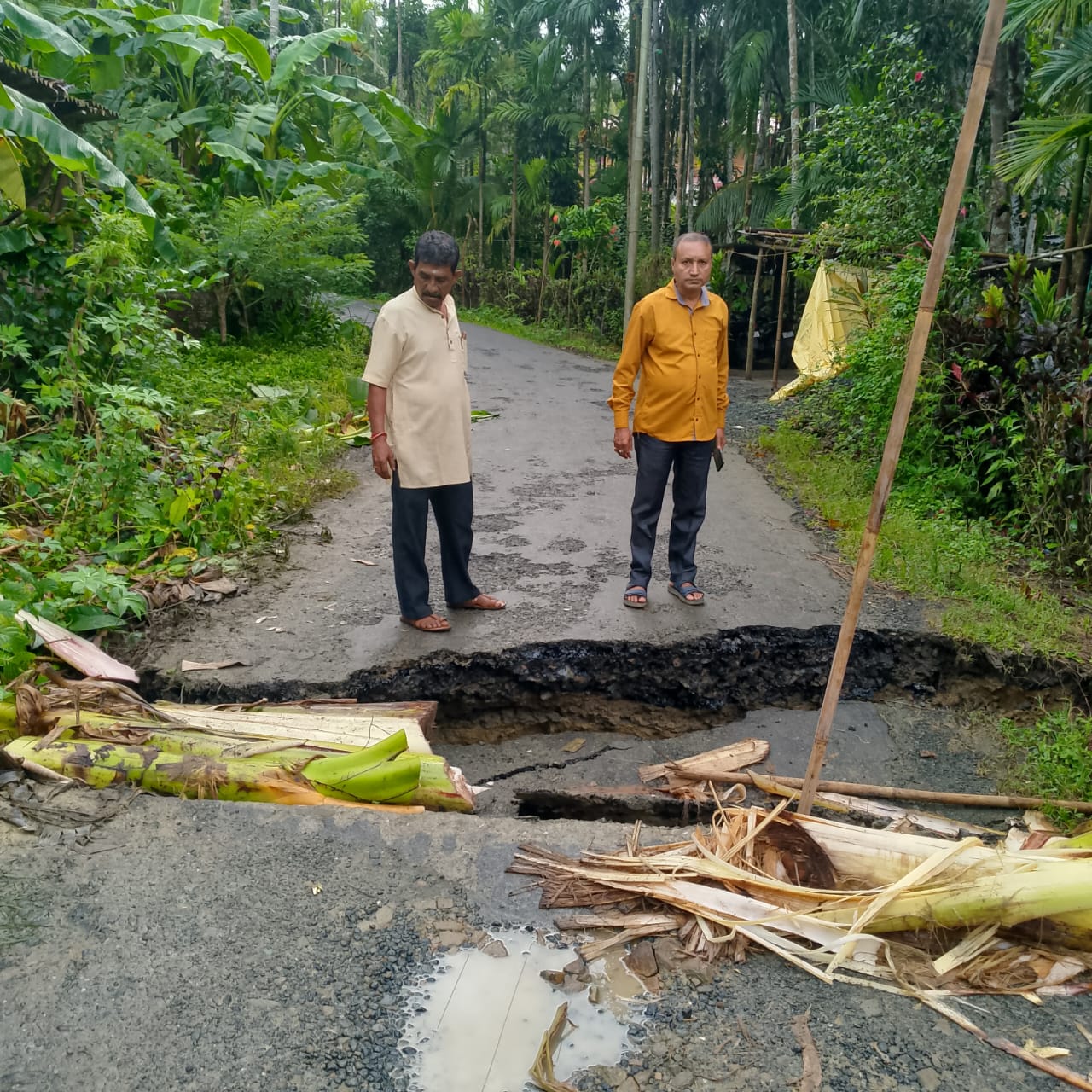 image001