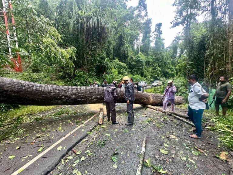 image001