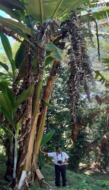 image003
