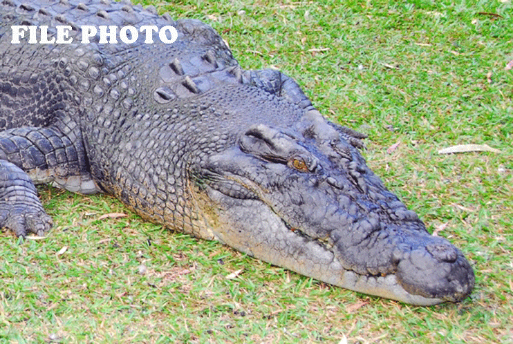 profile_30_600